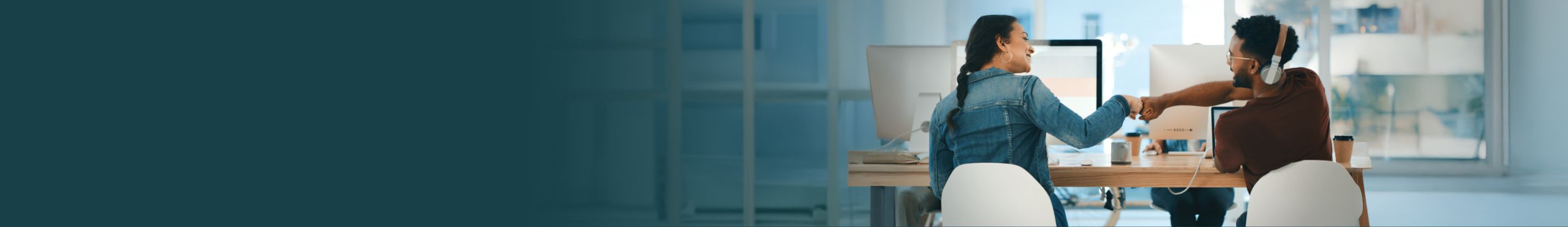 Professional Services