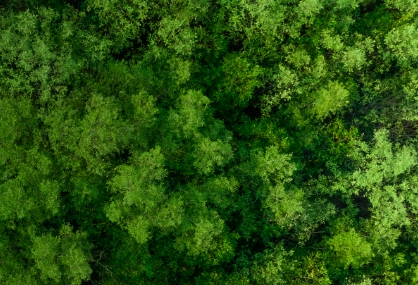 Fuelling Sustainable Transformation: Insights from PAC’s CXO Study